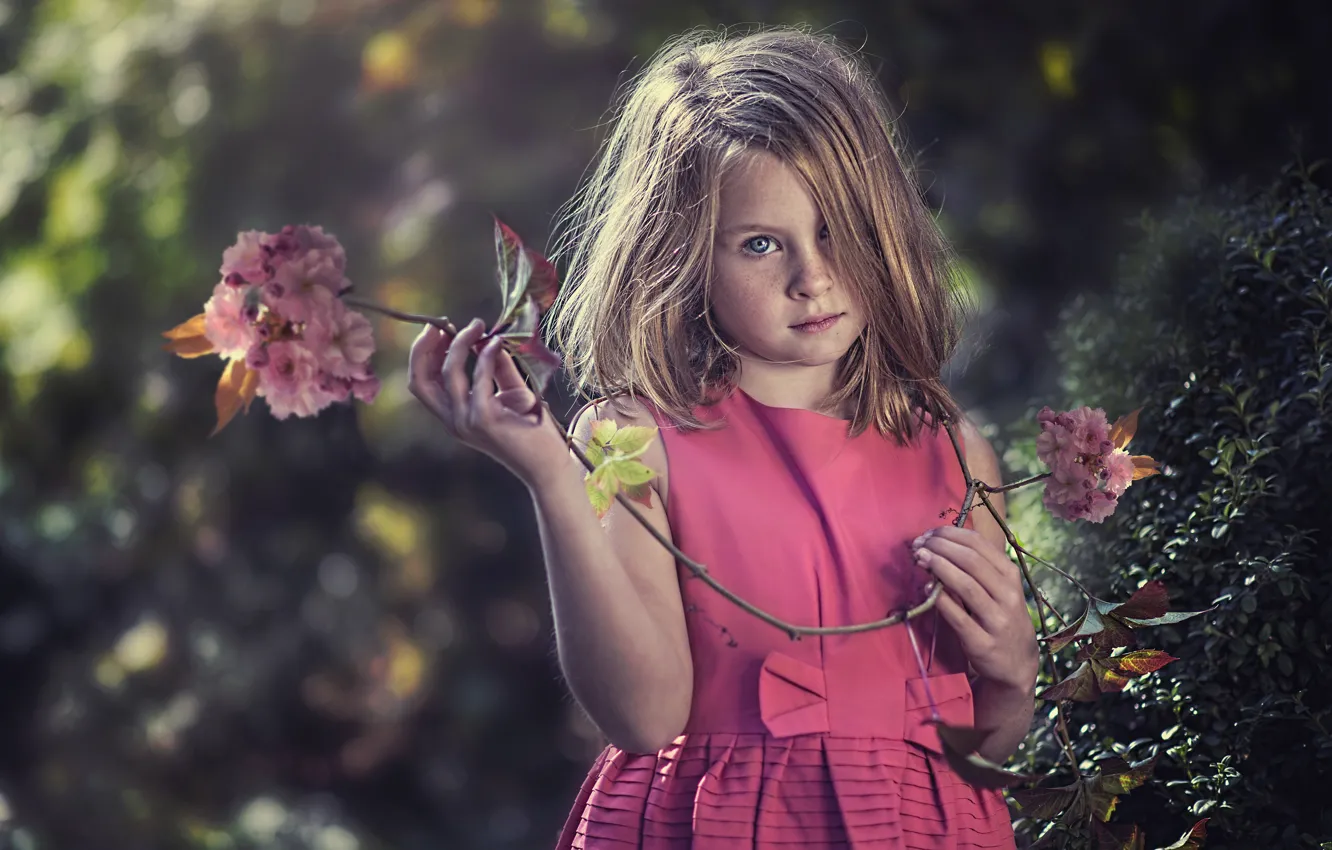 Photo wallpaper look, cherry, mood, branch, girl, freckles, red, redhead, flowers, freckled