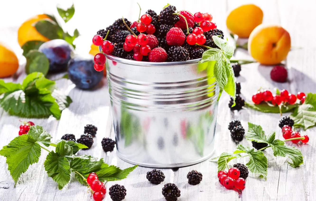 Photo wallpaper berries, raspberry, fruit, plum, currants, BlackBerry, apricots, fruits, berries, bucket