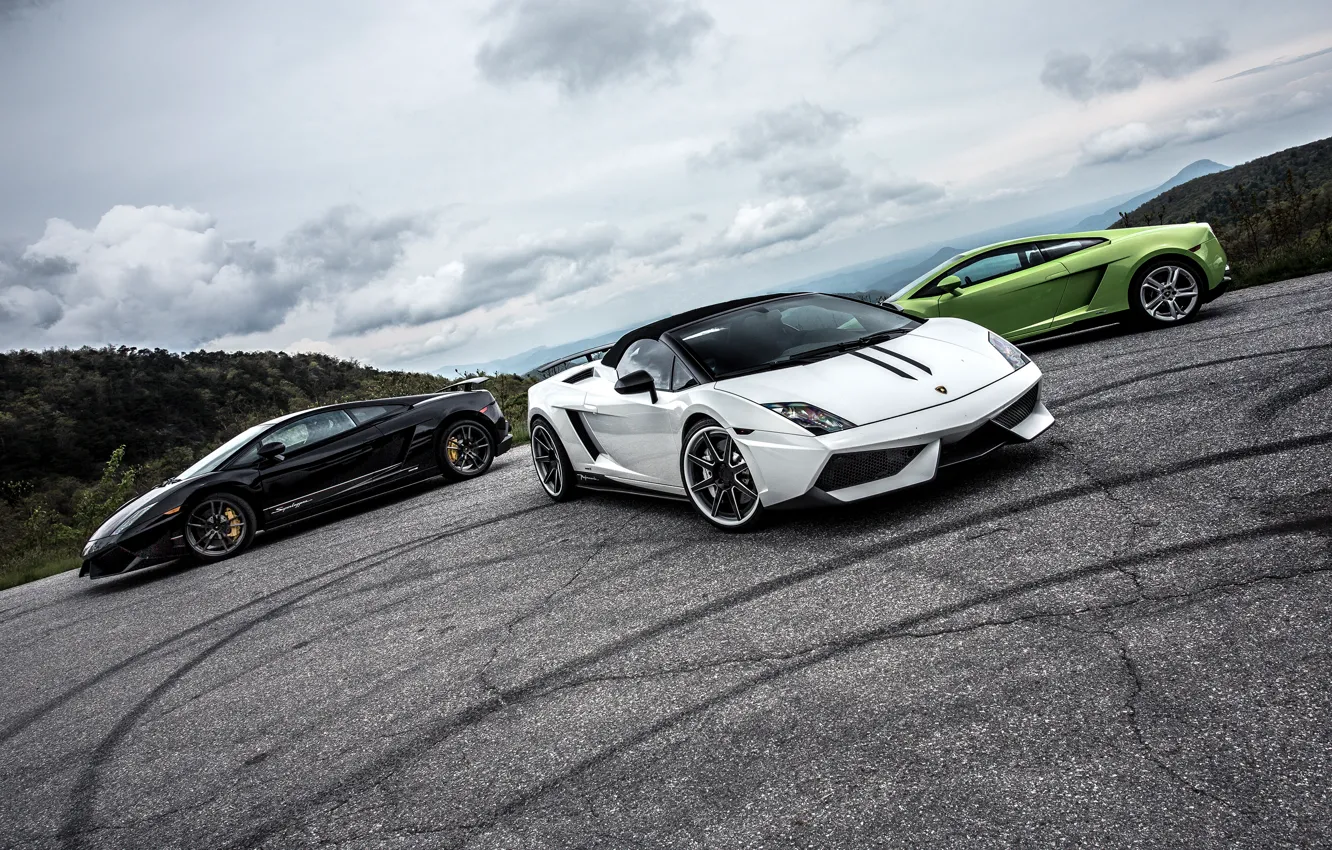 Photo wallpaper green, Lamborghini, white, gallardo, black, spyder, LP570-4, superleggera, performante