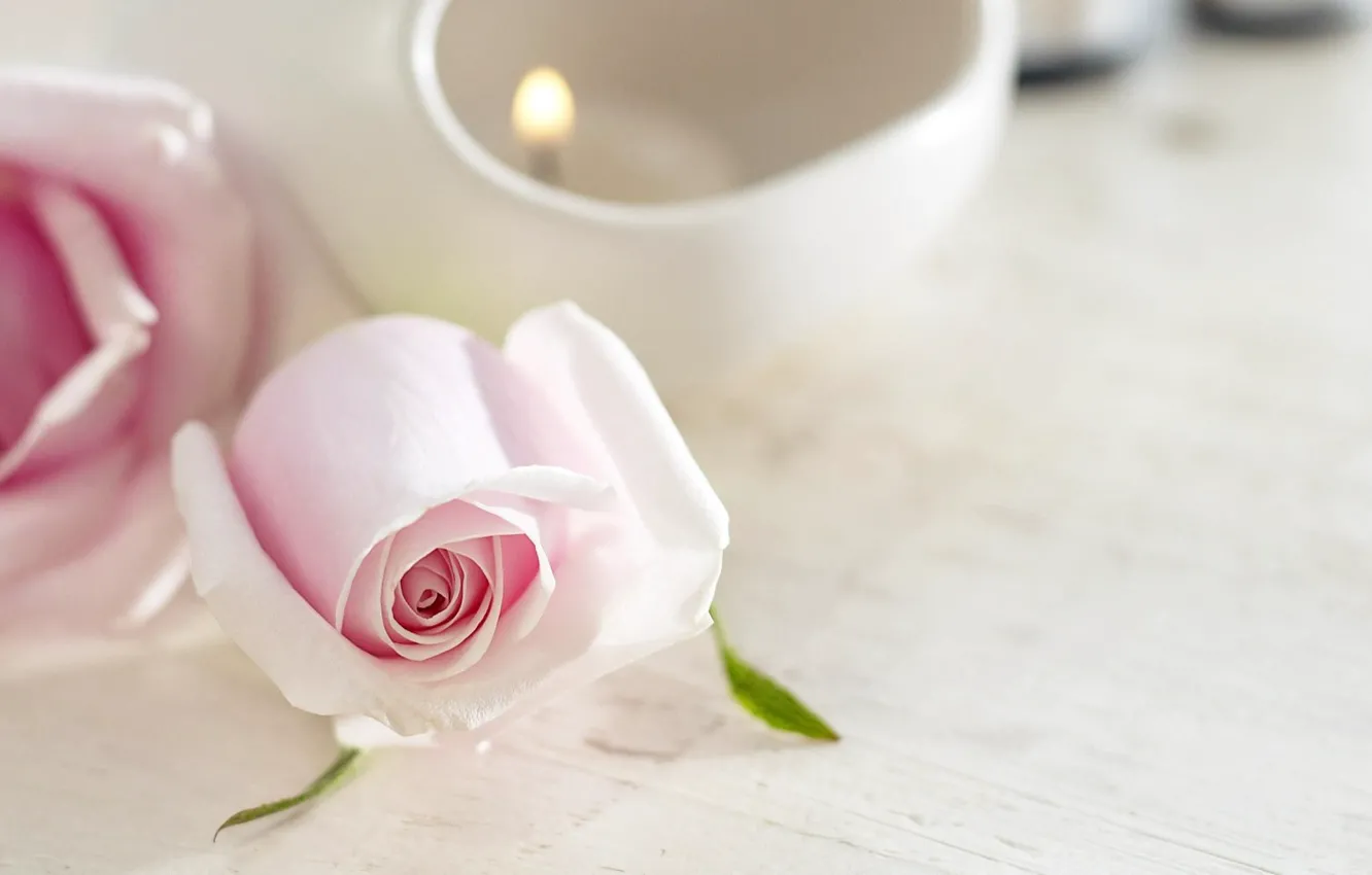 Photo wallpaper flower, tenderness, rose, candle