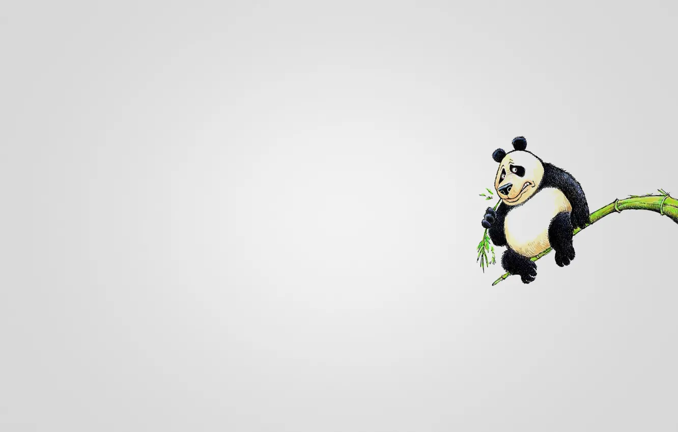 Wallpaper tree, animal, minimalism, branch, Panda, sitting, eats, panda  images for desktop, section минимализм - download