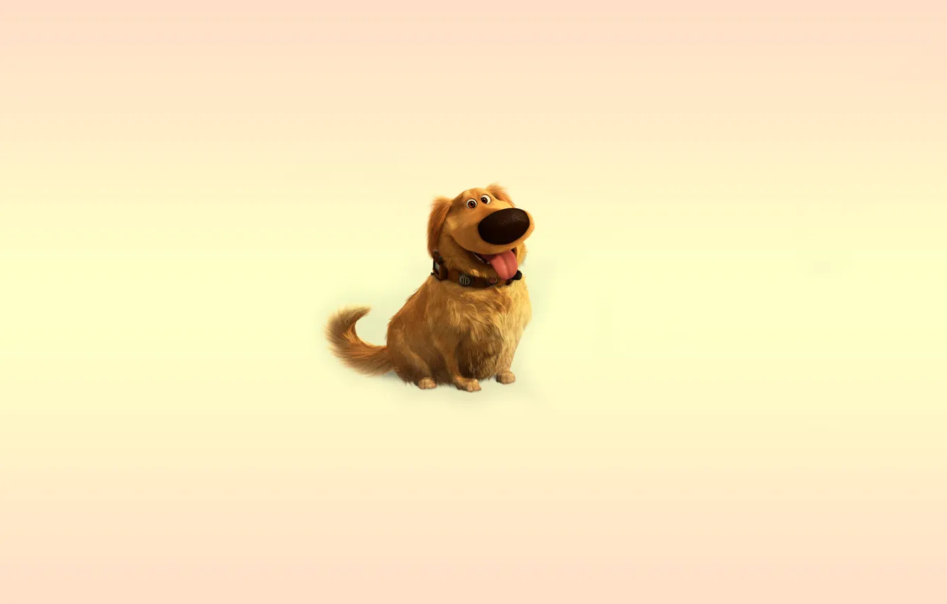 Wallpaper language, up, dog, minimalism, dog, collar, dog images for  desktop, section минимализм - download