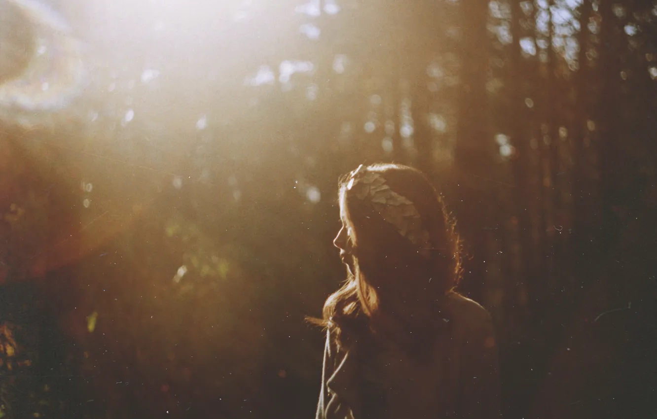 Photo wallpaper forest, girl, the glare of the sun, TanjaMoss