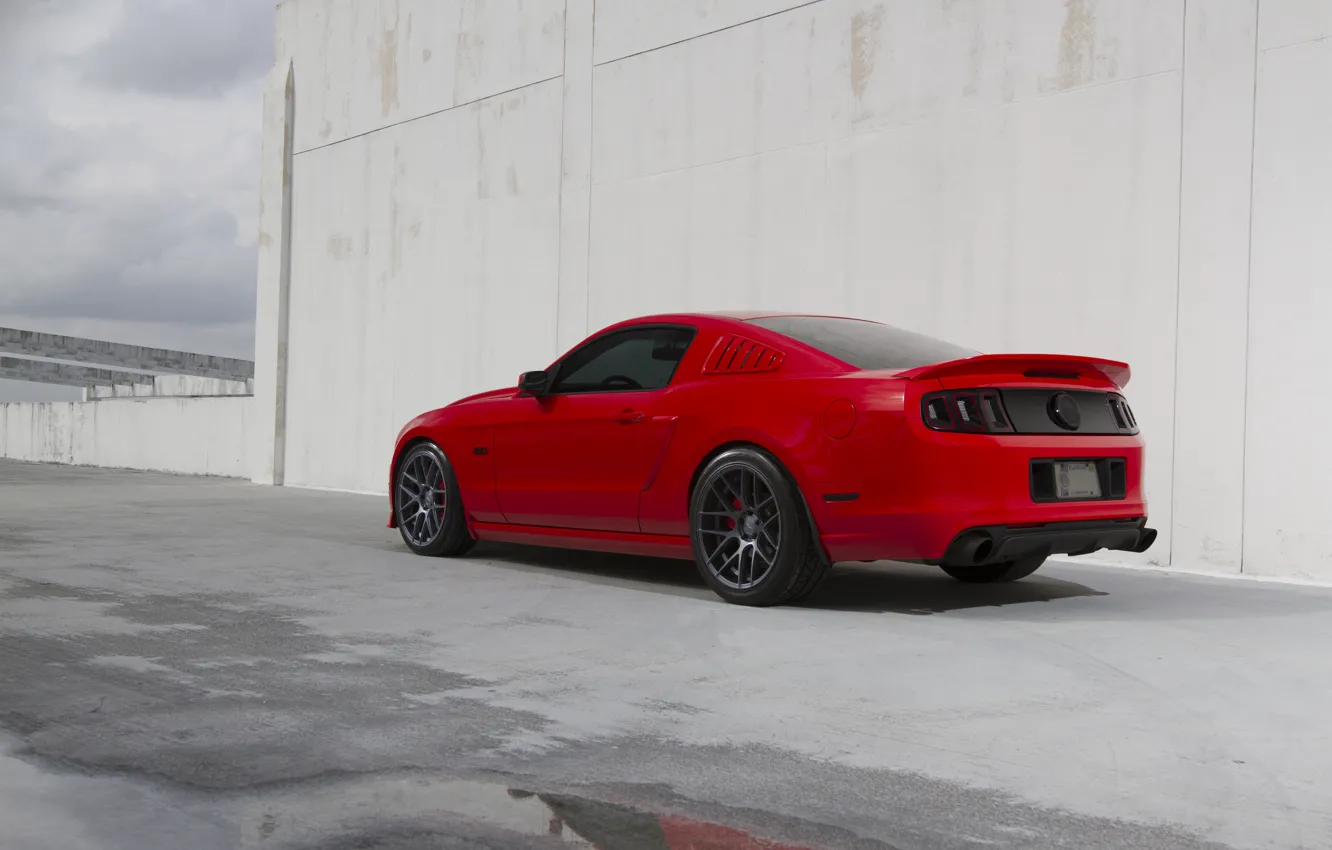 Photo wallpaper red, wall, mustang, Mustang, red, ford, Ford, rear view, gt5.0