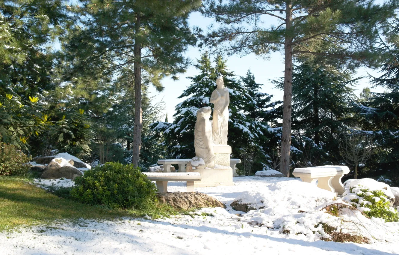 Photo wallpaper winter, greens, the sky, Trees, statues, bench