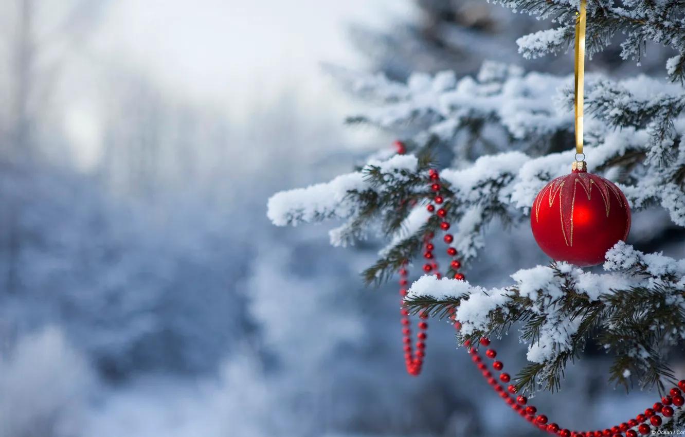 Photo wallpaper snow, new year, ball, Christmas, tree, christmas
