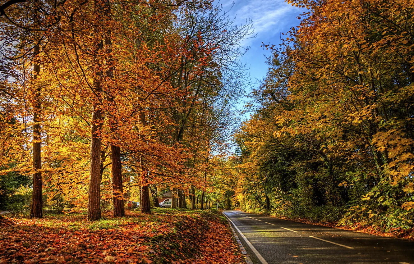 Photo wallpaper road, autumn, leaves, nature, photo