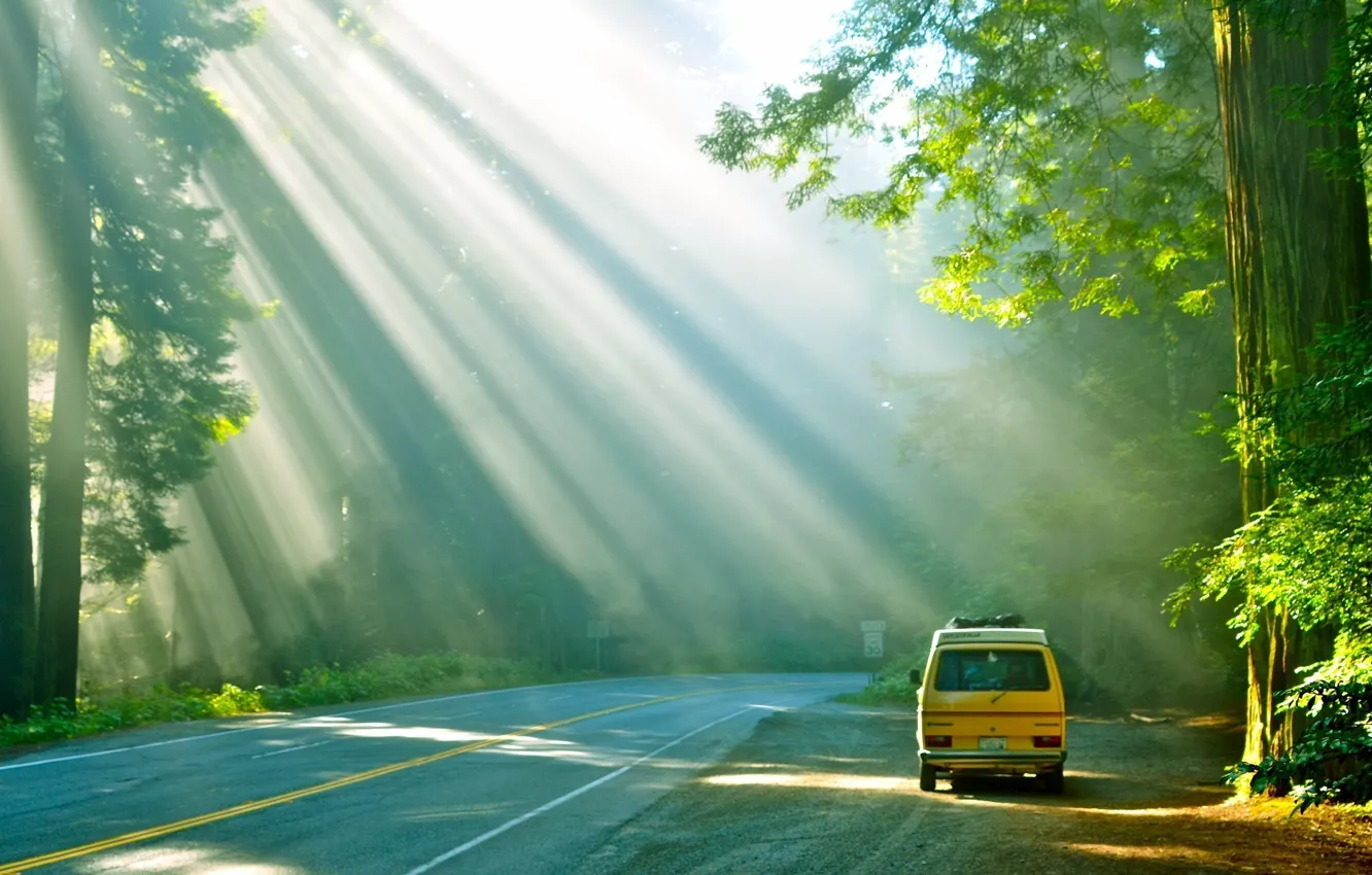 Photo wallpaper car, sunshine, road, trees, Forest