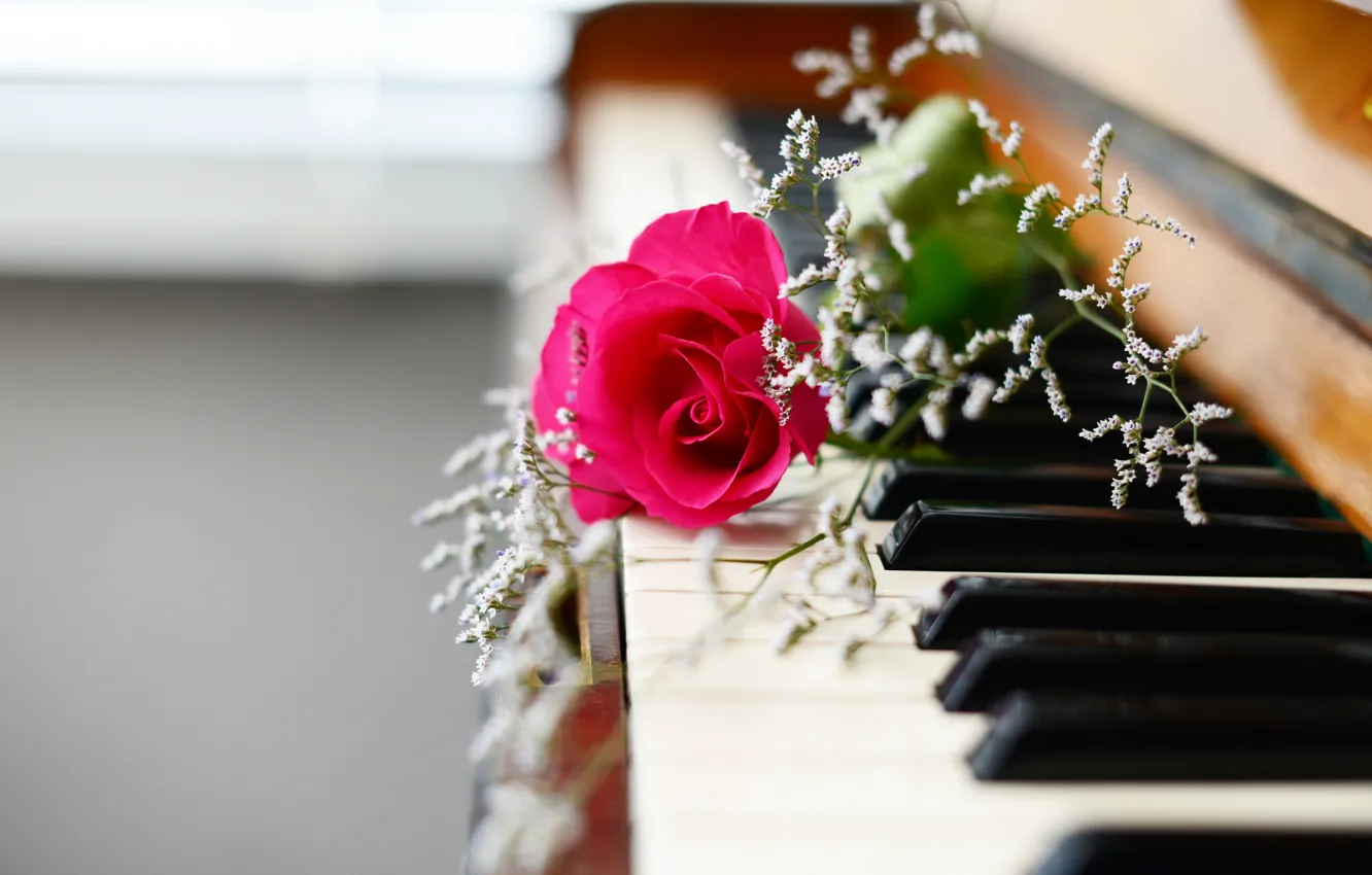 Photo wallpaper flowers, music, piano
