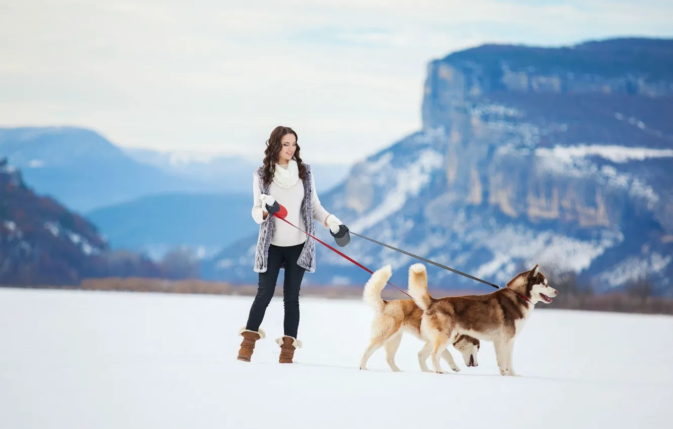 Photo wallpaper Girl, winter, snow, dogs, siberian husky