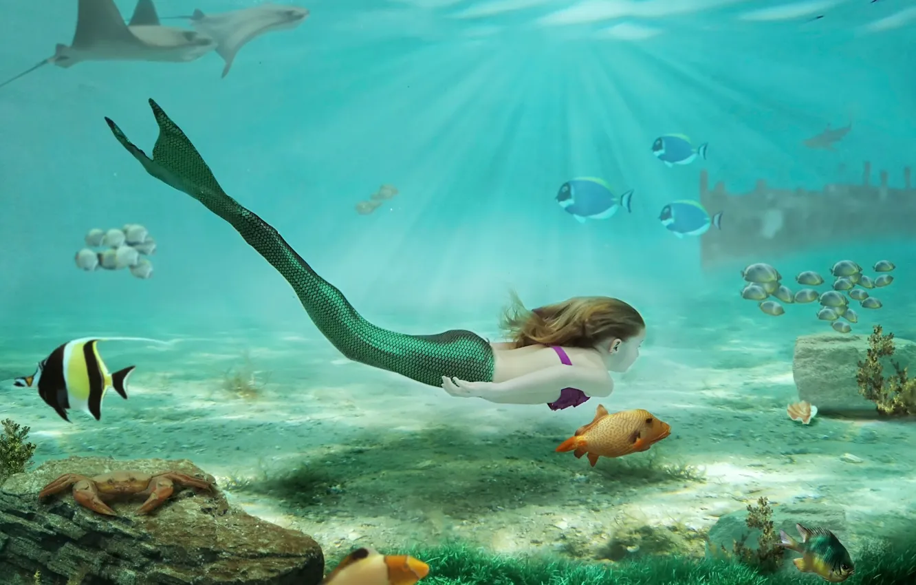 mermaid, girl, underwater world