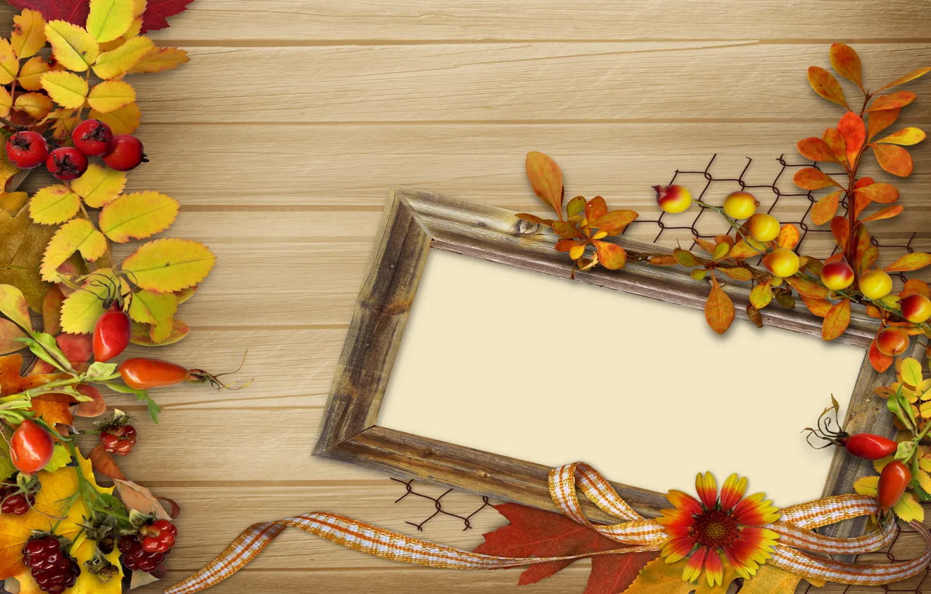 Photo wallpaper autumn, leaves, flowers, berries, frame, vintage, background, autumn, leaves