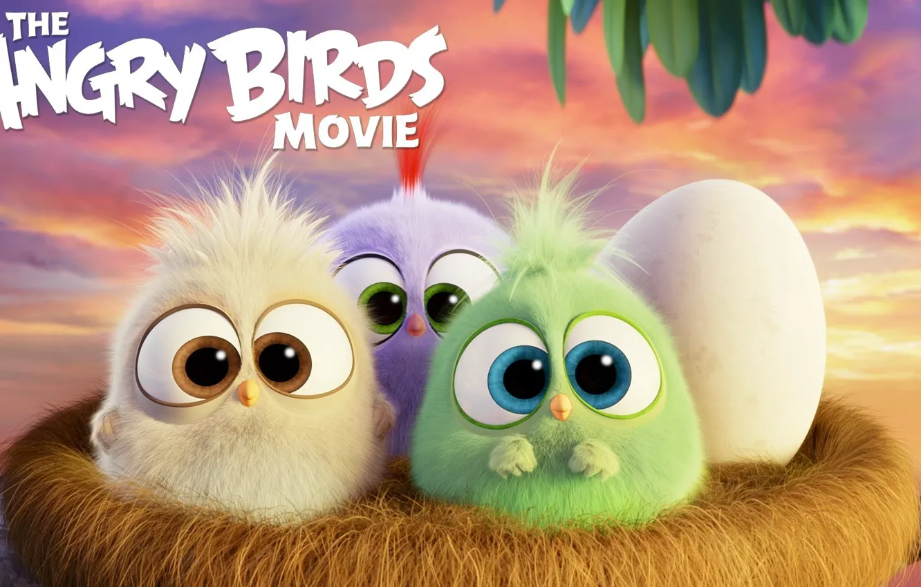 Wallpaper cartoon, egg, socket, birds, Angry Birds Movie images for  desktop, section фильмы - download