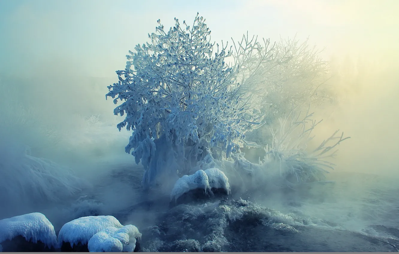 Photo wallpaper winter, snow, landscape, nature, fog