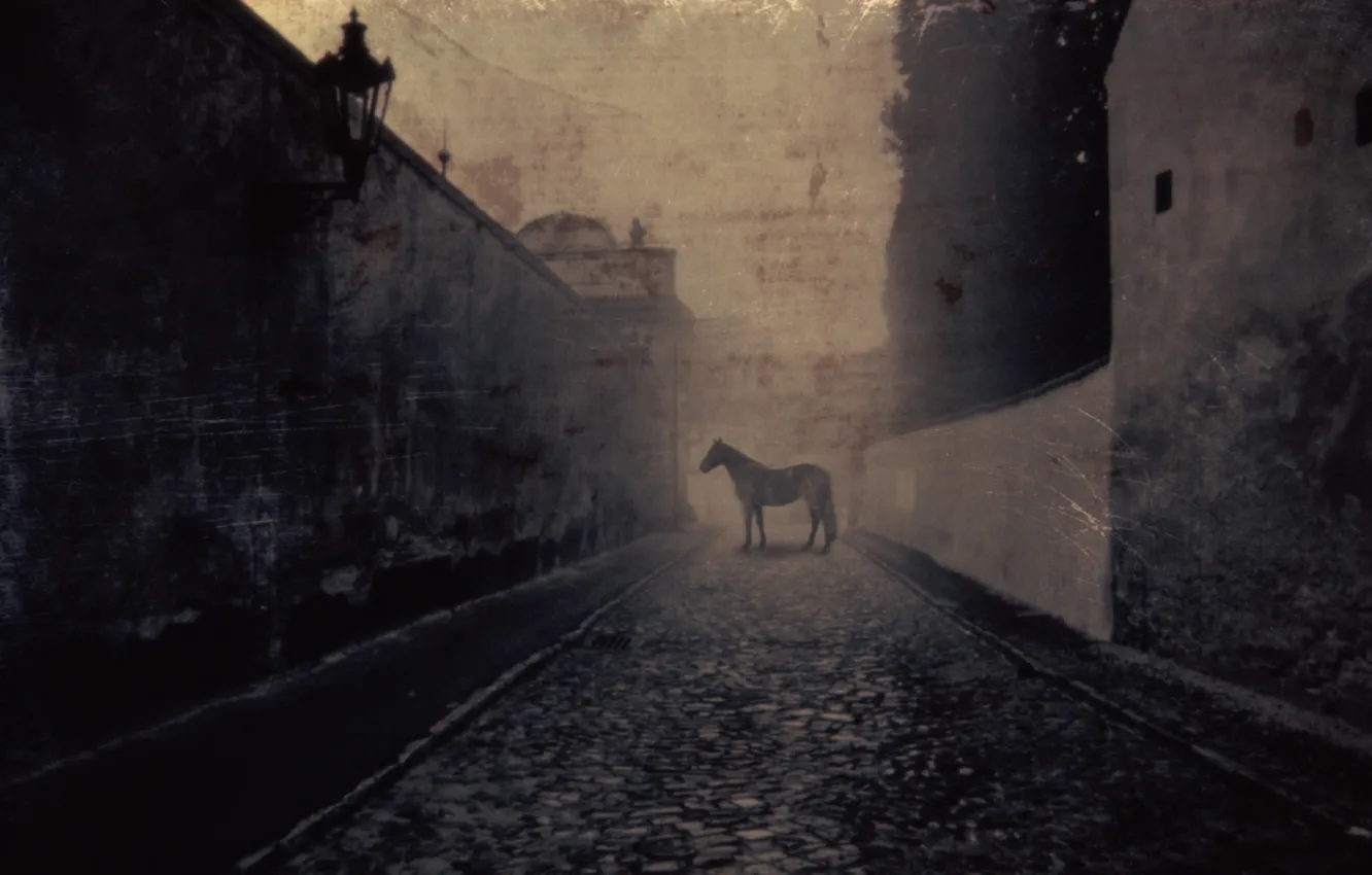 Photo wallpaper street, horse, Horse, lantern. old, Cobbled Street