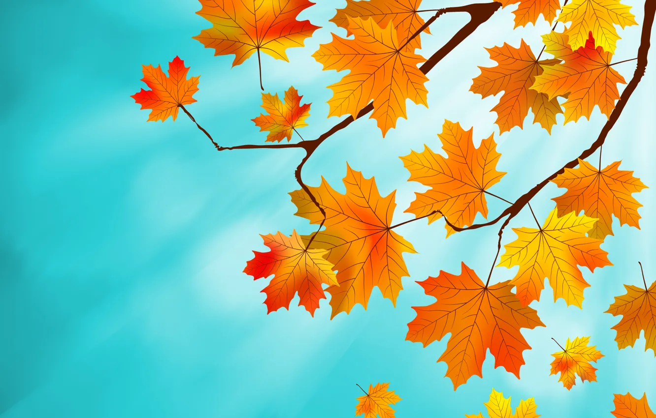 Wallpaper leaves, background, autumn, leaves, autumn, maple images for ...