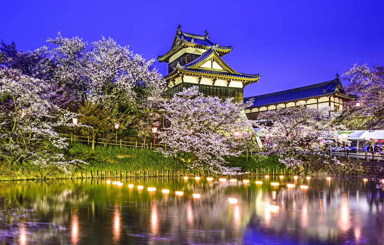 Photo wallpaper trees, lights, pond, Park, reflection, spring, Japan, Sakura, Japan, pond, Koriyama Castle, Yamatokoriyama, Yamatokoriyama, Kuriyama …