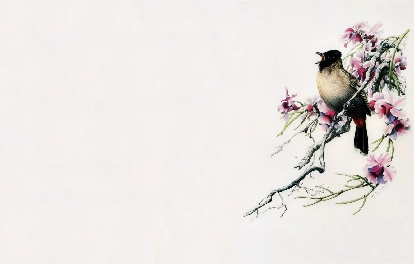 Wallpaper bird, minimalism, branch, East, master, art, painting images for  desktop, section минимализм - download