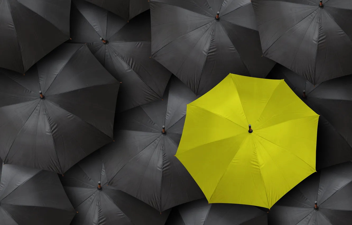 Wallpaper black, yellow, umbrella images for desktop, section ситуации -  download
