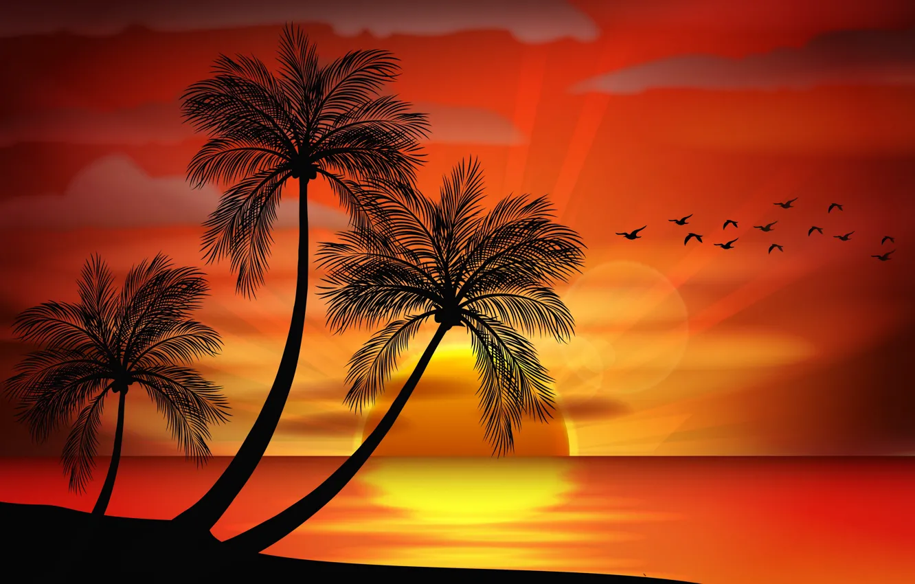Island Sunset wth Palm Trees