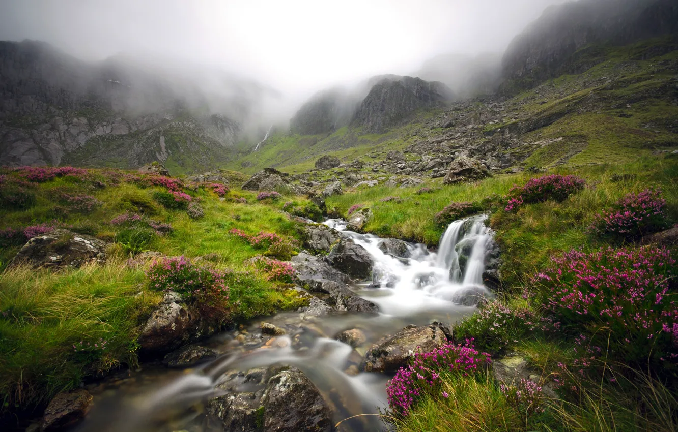 Photo wallpaper mountains, fog, stream, England, valley, England, Wales, Wales, Snowdonia, Snowdonia National Park, Snowdonia, Glyderau, Cwm …