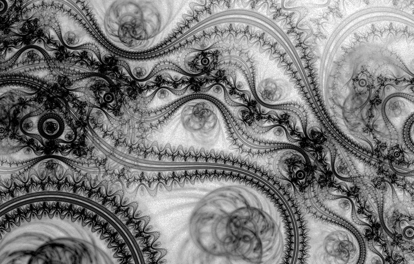 Wallpaper white, black, lace images for desktop, section абстракции -  download