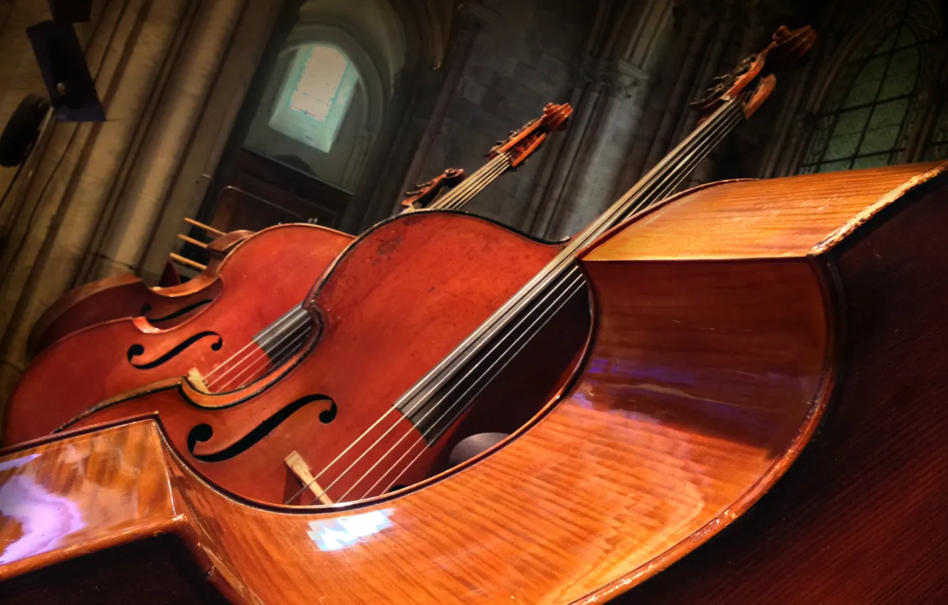 Wallpaper music, background, Double bass images for desktop, section музыка - download