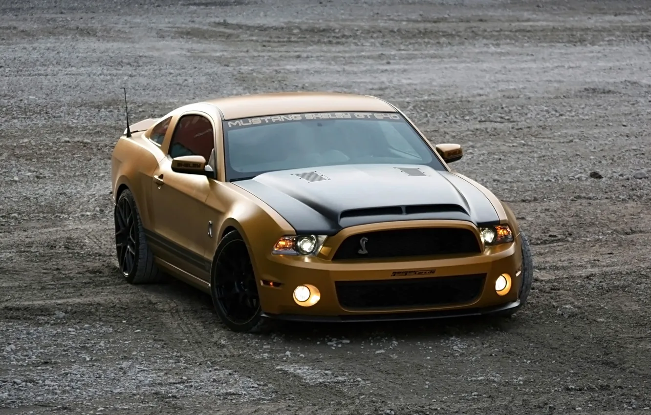 Photo wallpaper Shelby, Ford Mustang, cars, auto, GT640, Golden Snake