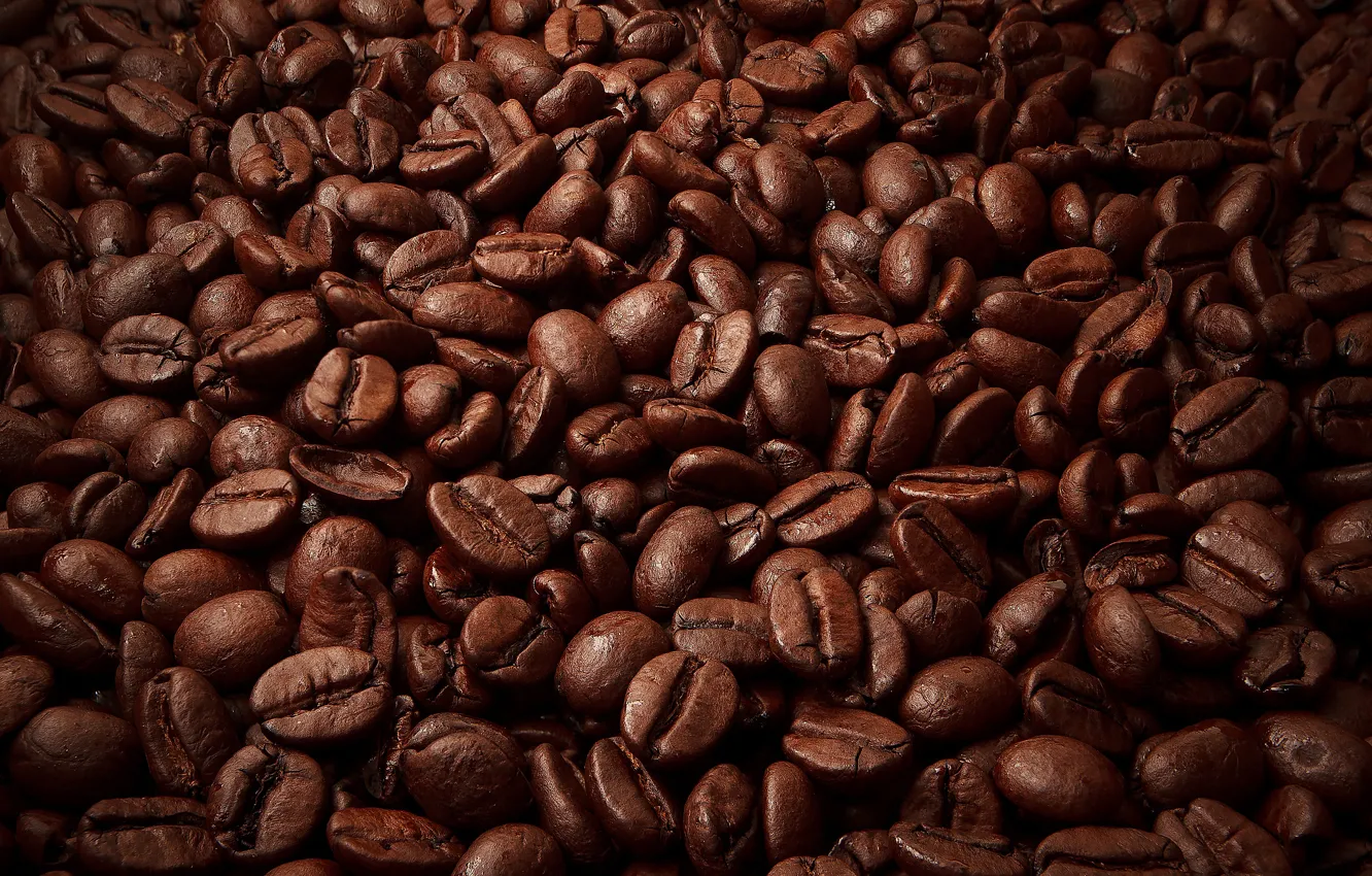 Photo wallpaper coffee, grain, brown