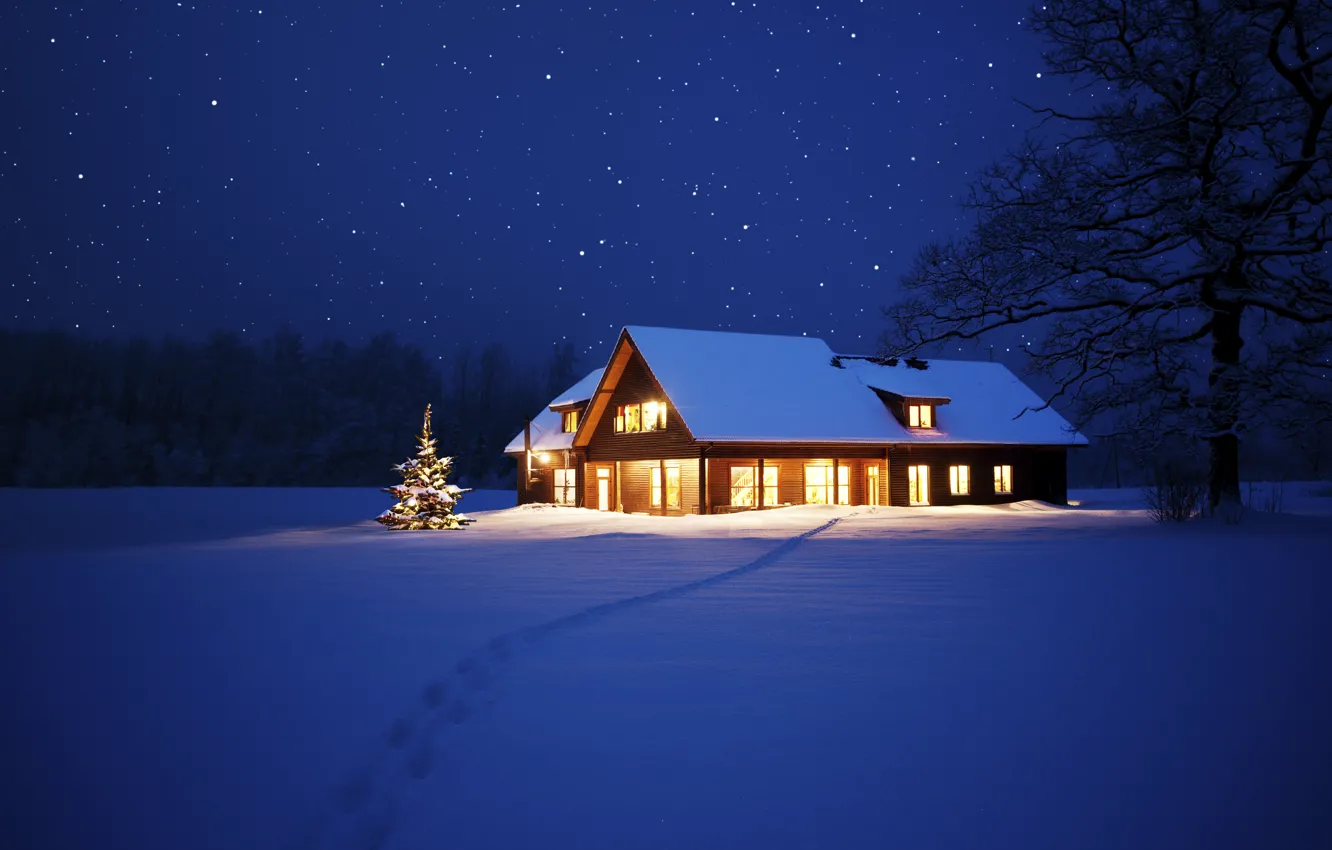 Photo wallpaper lights, house, tree, New Year, Christmas, Christmas, night, winter, snow, tree