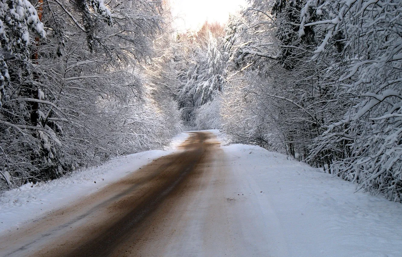Photo wallpaper winter, road, forest, snow, trees, nature, road, photos