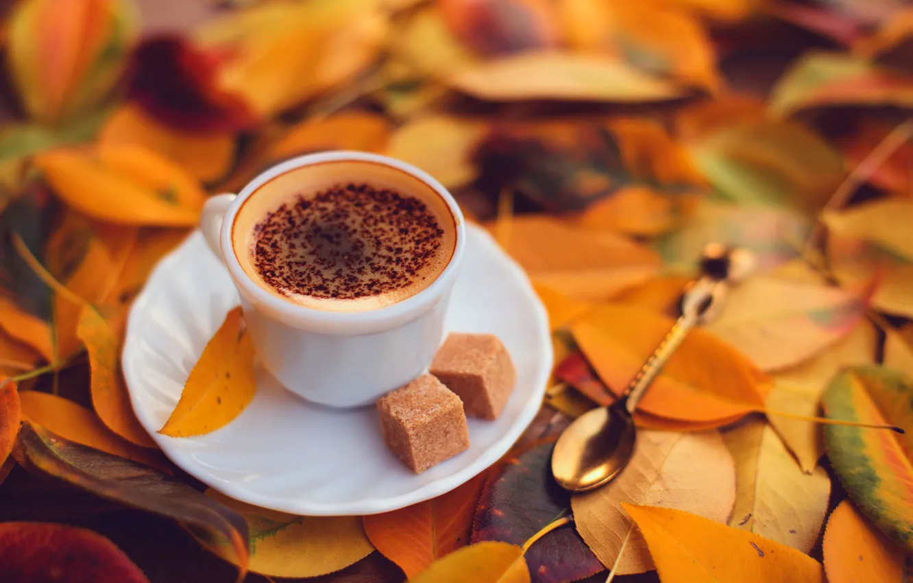 Photo wallpaper autumn, foam, leaves, cubes, coffee, chocolate, yellow, spoon, Cup, sugar, saucer