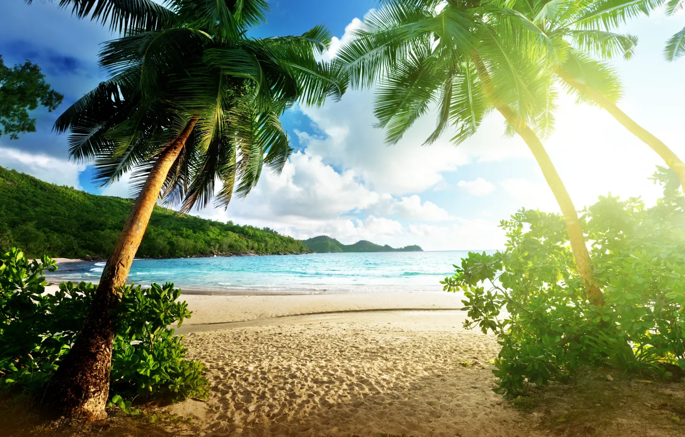 Photo wallpaper sea, beach, the sky, clouds, landscape, palm trees, island