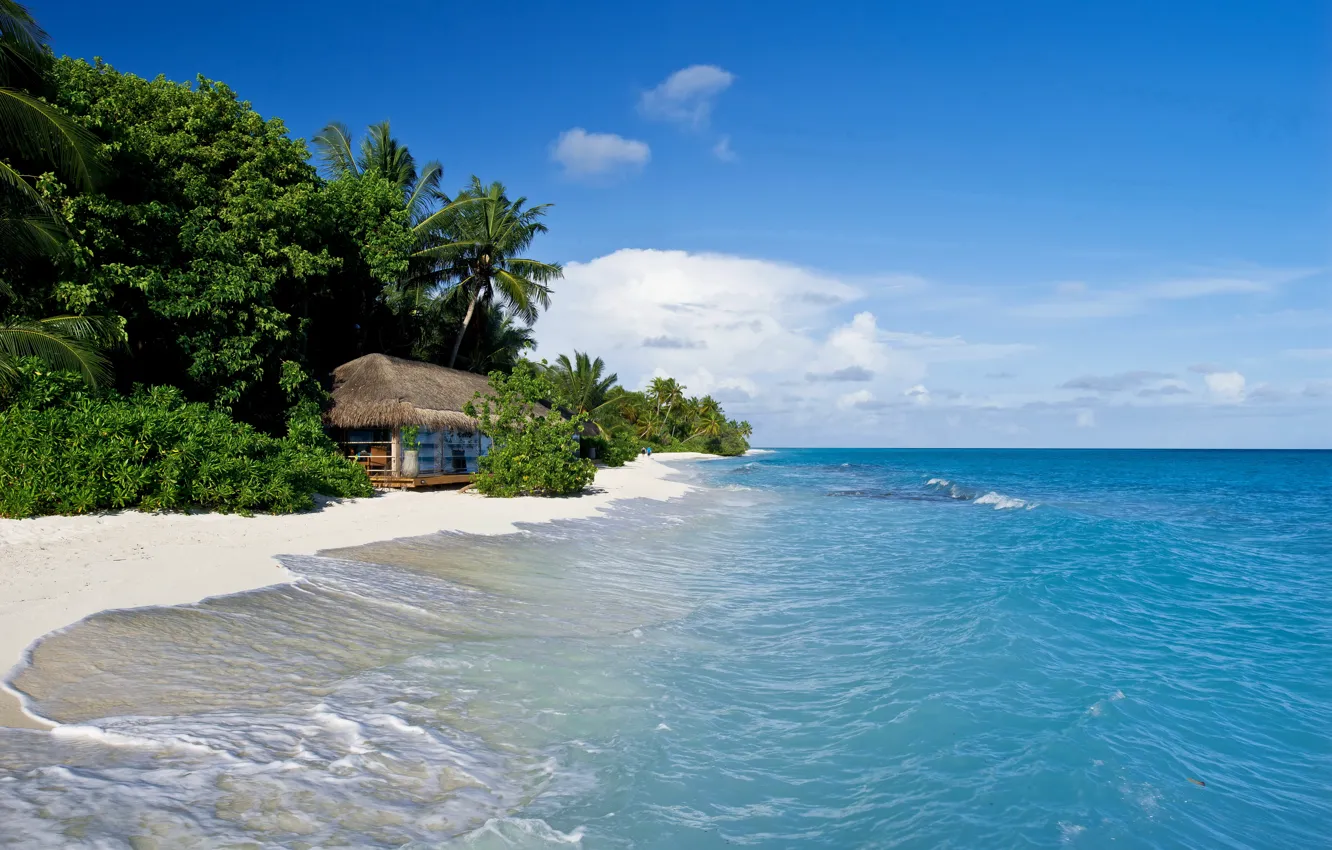 Photo wallpaper sand, sea, tropics, palm trees, shore, hut, The Maldives, Kuramathi