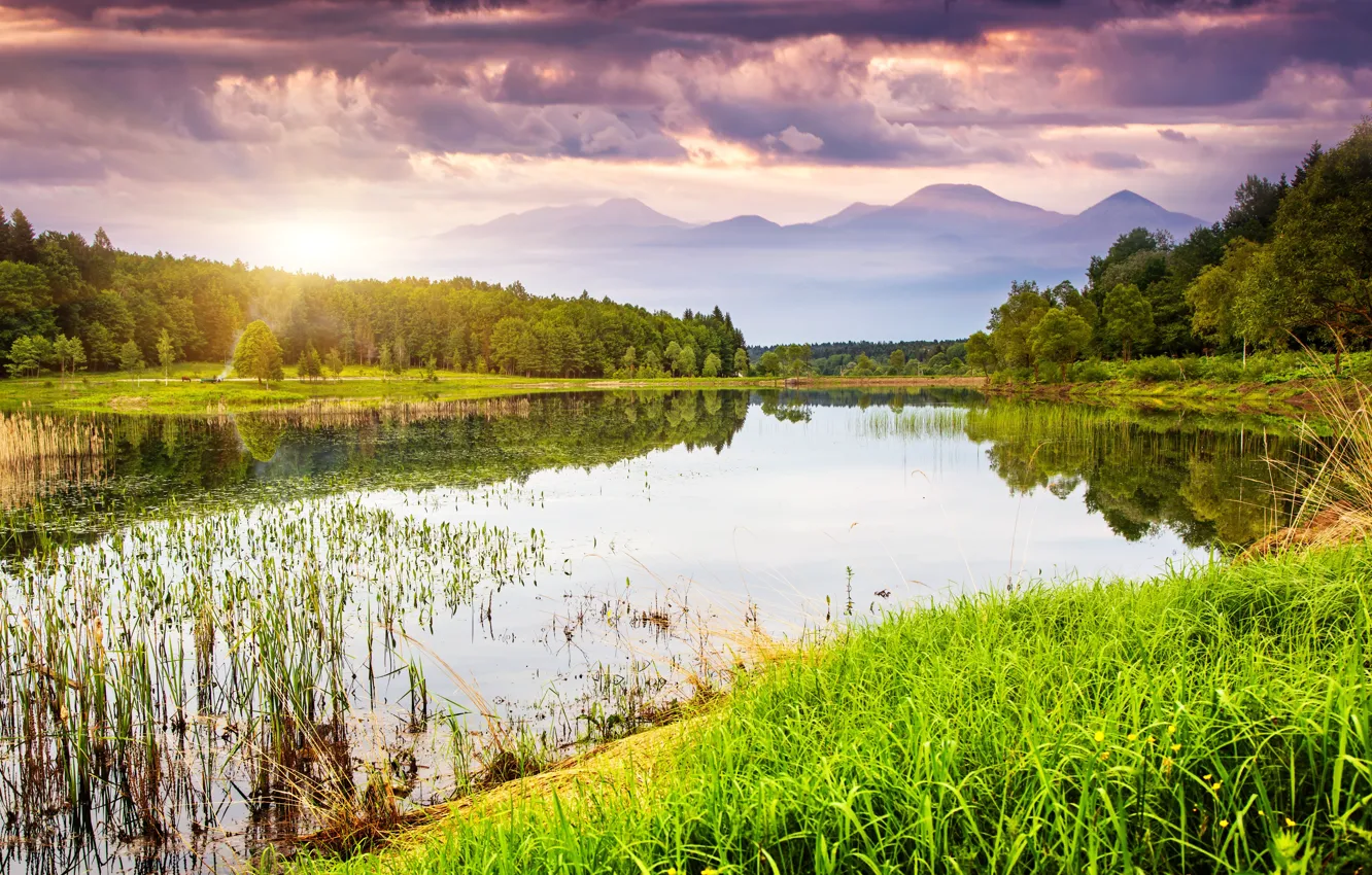 Photo wallpaper greens, the sky, grass, water, clouds, trees, landscape, sunset, mountains, nature, lake