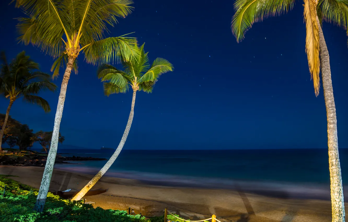 Photo wallpaper sea, the sky, stars, light, night, tropics, palm trees, shore